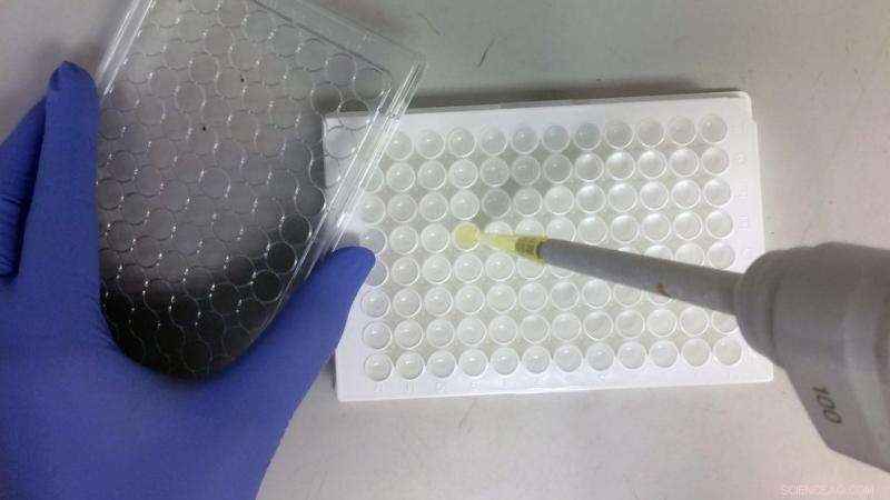 Fast-Track Chemical Screening: NC State’s High-Throughput Method Identifies Toxicity Risk in Seconds