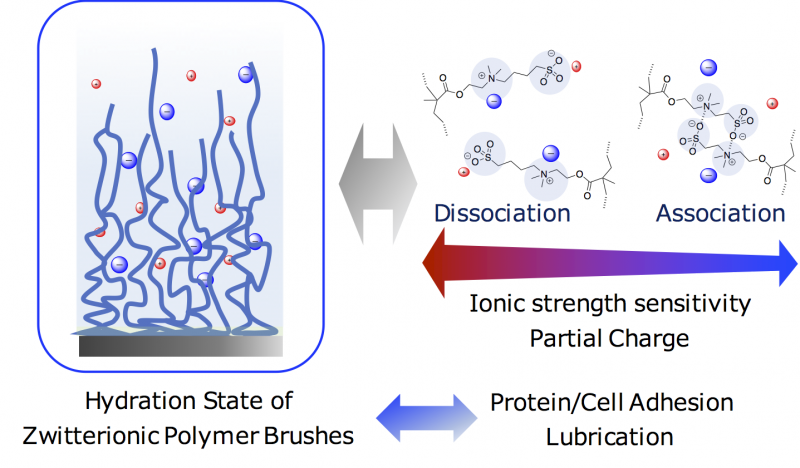 Exploring Slippery Surfaces: Systematic Study of Zwitterionic Poly(sulfobetaine) Brushes