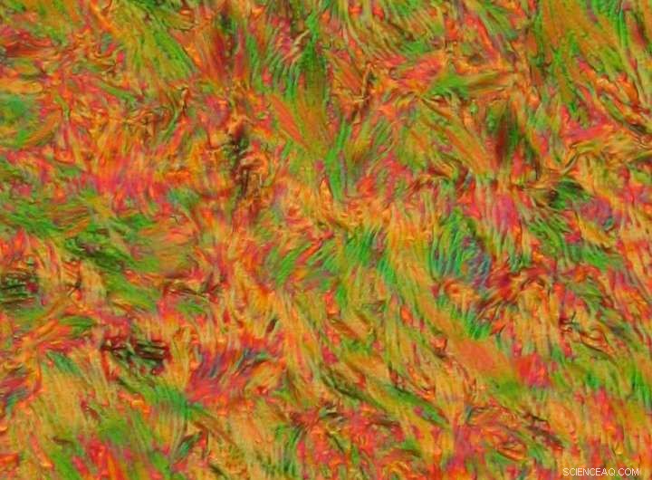 Researchers Create Novel Liquid-Crystal Photochromic Polymer at Moscow State University