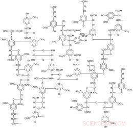 Transforming Lignin Waste into High-Performance Carbon Fiber for Automotive and Aerospace Applications