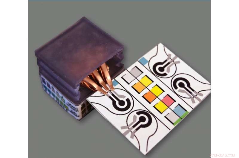 Revolutionizing Diagnostics: Self-Powered Paper-Based SPEDs Enable Affordable, Rapid Disease Testing