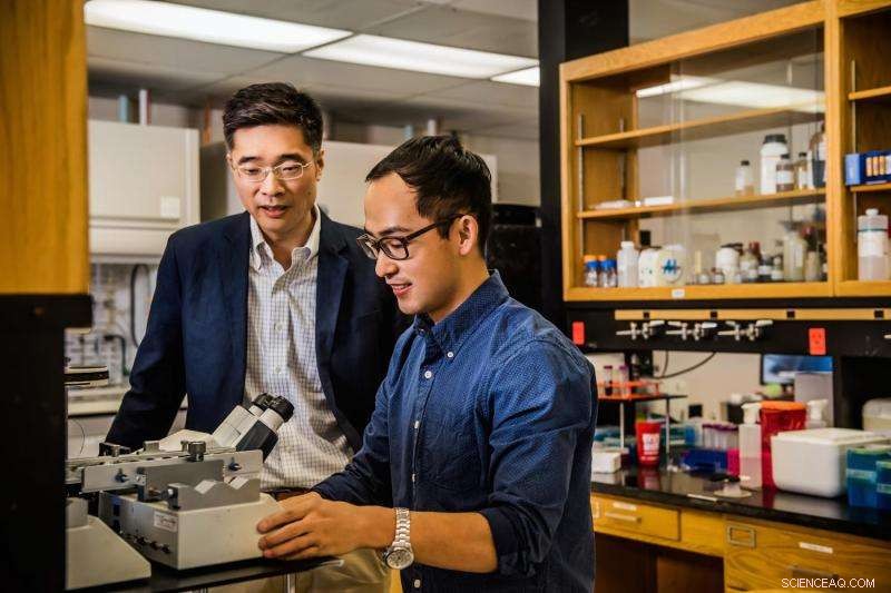 Revolutionary Tumor Cell Isolation Technique Promises Advances in Cancer Research and Therapy