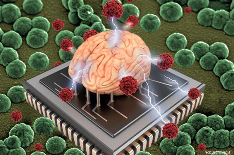 New Method Enhances Creation of Organic Bioelectronics, Researchers Announce