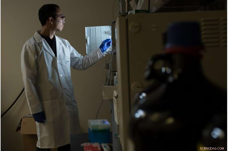 Metal-Enhanced Proteins Streamline Antibody Drug Production