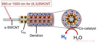 Advanced Carbon Nanotube Photocatalysts for High-Efficiency Solar-to-Hydrogen Conversion