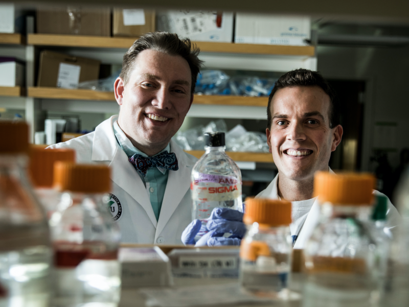 Cocoa-Derived Compound Boosts Cellular Insulin Release, Promising Diabetes Management