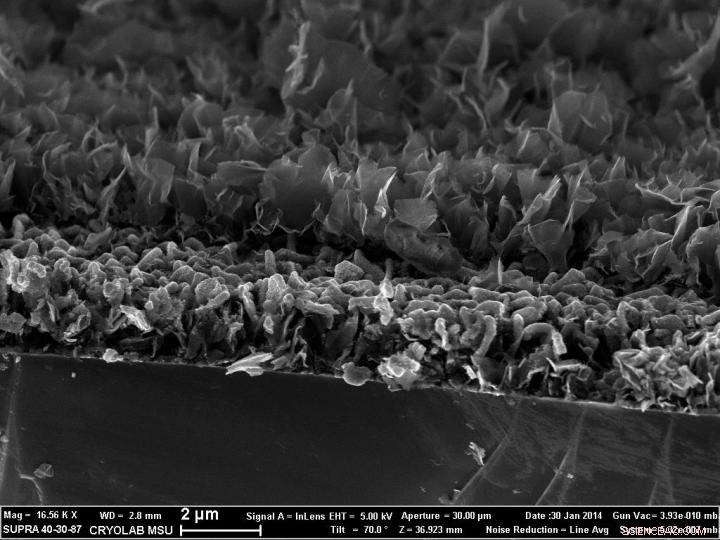 Boosting Lithium‑Ion Battery Efficiency with Silicon, Germanium, and Carbon Nanowall Technologies
