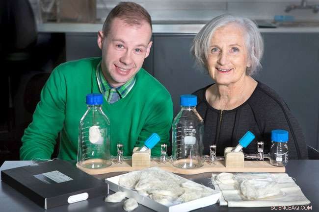 Unveiling How Fabrics Capture and Release Body Odor: Insights from Otago Researchers