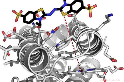 Artificial Enzymes Mimic Natural Counterparts: Functionality and Efficiency
