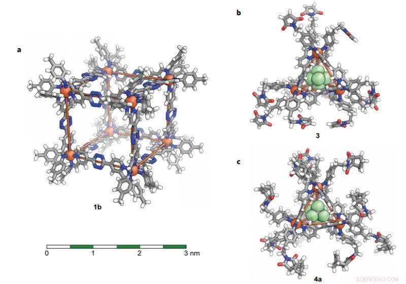 Covalent Post‑Assembly Modification Cascade in Self‑Assembled Supramolecular Structures