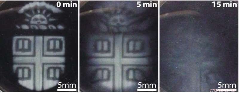 Scientists Innovate 3‑D‑Printed Biomaterials That Degrade on Demand