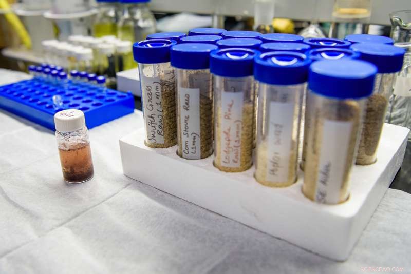 Innovative Wood-Derived Sugar Extraction Promises Sustainable Alternatives to Petrochemicals