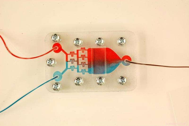 Purdue Scientists Develop Device to Detect Breast Cancer Risk Factors