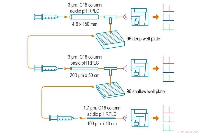 Advanced Protein Profiling Enables Early Disease Detection