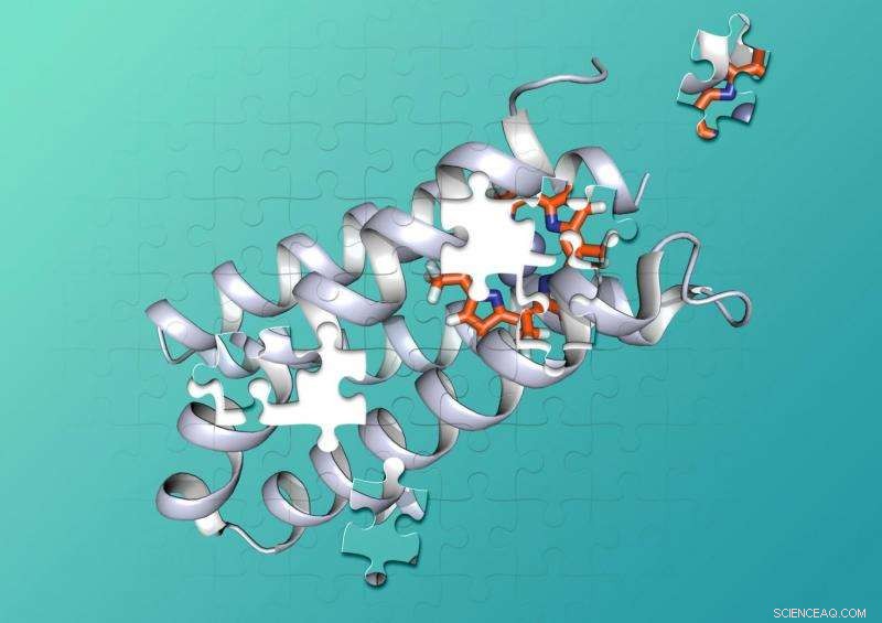Lab-Created Protein Grips Porphyrin Cofactor Like an Alligator—A Breakthrough in Protein Engineering