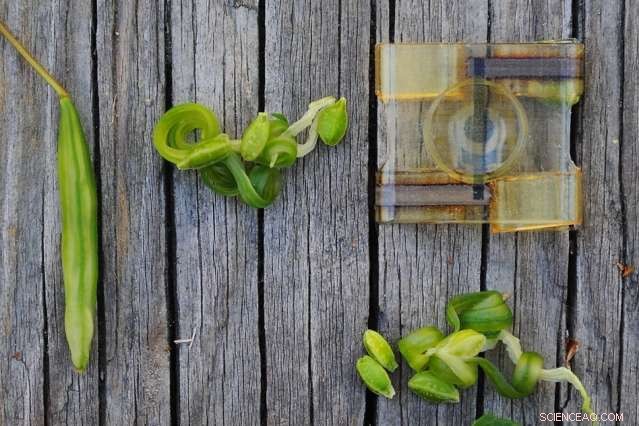 Self-Folding 3D-Printed Structures Achieved with Expanding Polymer—No Heat or Water Needed