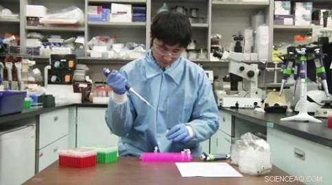 Advancing Chlamydia Prevention: Synthetic Biology Drives New Vaccine Development