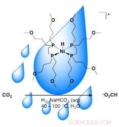 Water‑Based Nickel Catalyst Converts CO₂ Into Valuable Chemical Feedstock