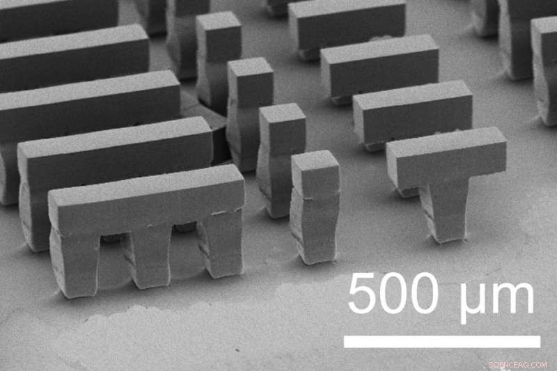 New 3‑D Fabricated Microparticles Enable Controlled, Long‑Term Drug and Vaccine Release