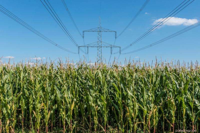 Proven Drop-In Biofuel Production from Biomass via Microbial and Electrochemical Conversion