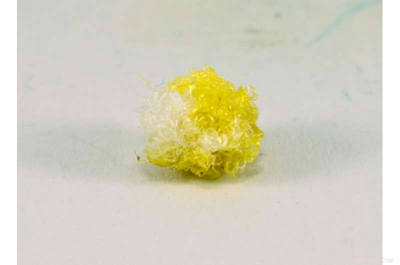 Sugar-Based Fluorescent Treatment Turns Cotton into Glowing Material