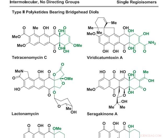 Metal‑Catalyzed Saturated Carbon Additions into C‑C Bonds: A Key Strategy for Synthesizing Type II Polyketides