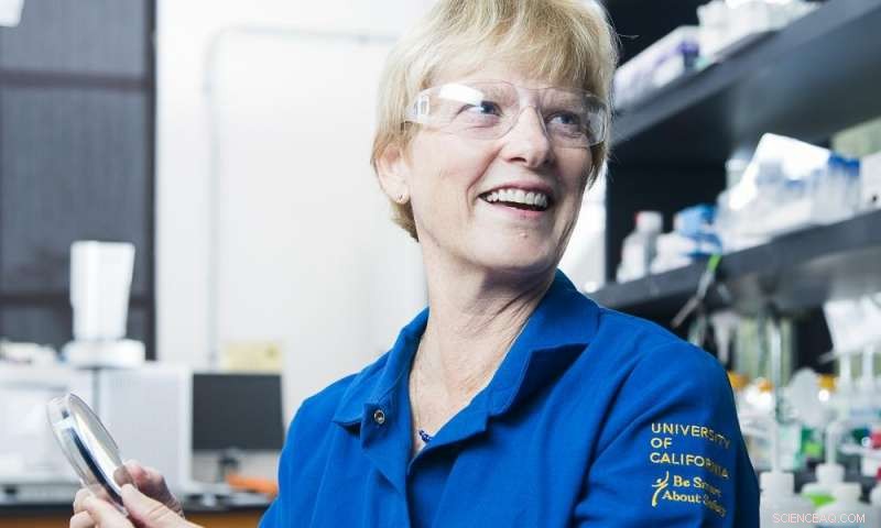 Unveiling Shared Legacies: Alison Butler & Alfred Bader