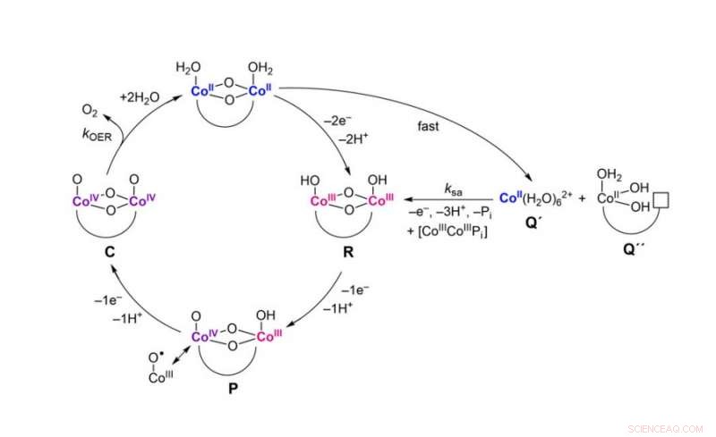 Self-healing Catalysts Enhance Solar-Powered Water Splitting for Efficient Energy Storage