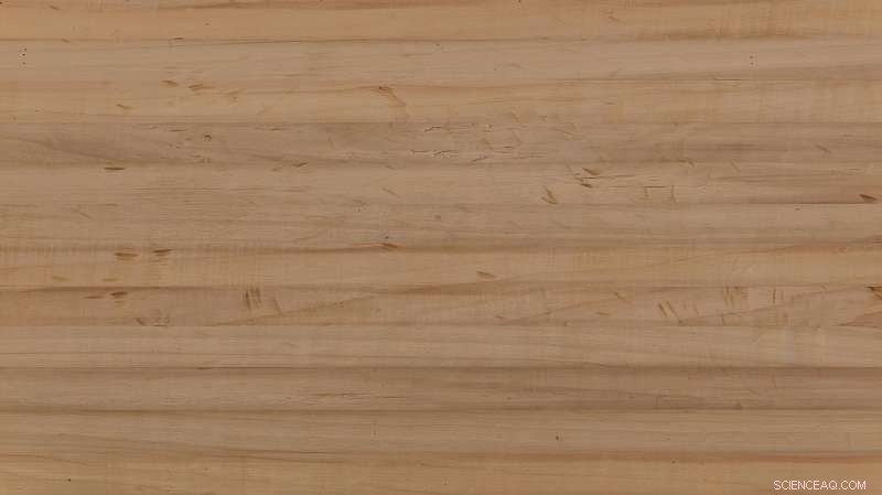 Innovative Biomaterial Promises to Replace Plastic Laminates, Cutting Pollution