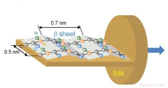 Advanced Infrared Imaging Unveils Protein Alignment in Silk Fibers