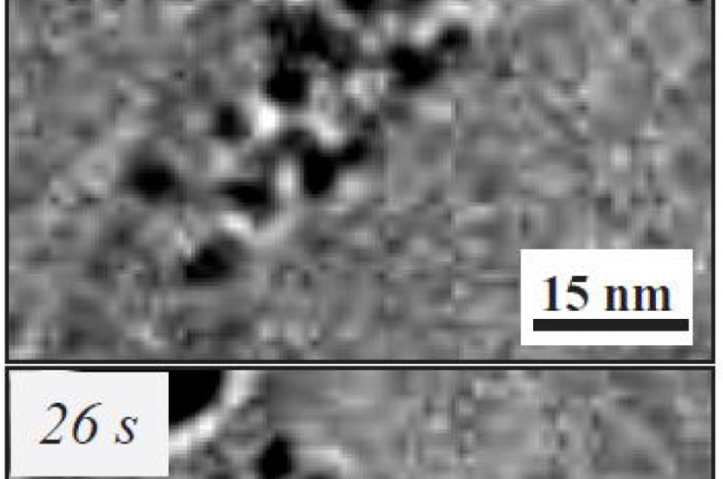 Graphene-Pocket Technique Allows Clear TEM Imaging of Molecules in Liquid