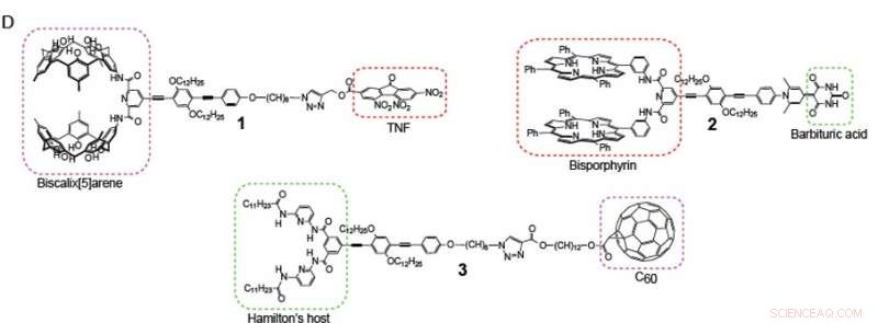 Exactly Defined Polymer Chains: A New Frontier