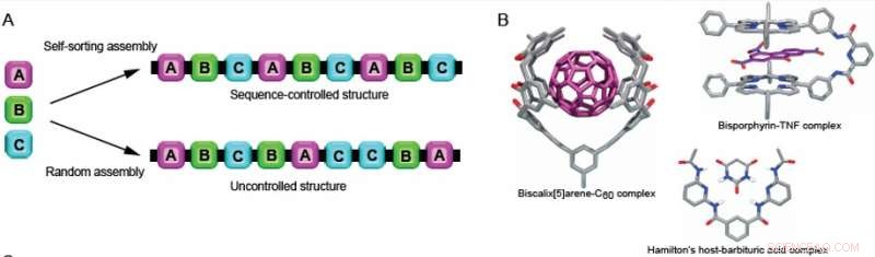 Exactly Defined Polymer Chains: A New Frontier