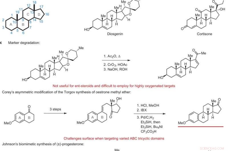 Revolutionary Synthesis Streamlines Drug Discovery for Novel Steroids
