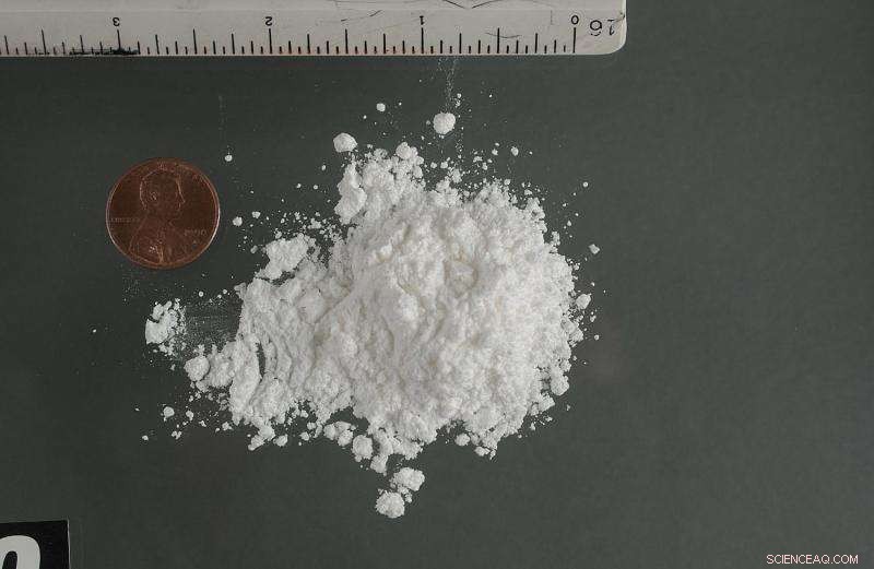 Groundbreaking Cocaine Study Paves Way for Rapid, Sensitive Drug Testing