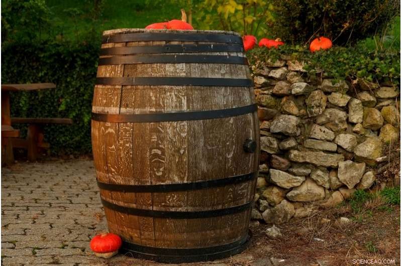 Forest Fires and Wine: How Smoke Compromises Quality and Creates Unwanted Aromas