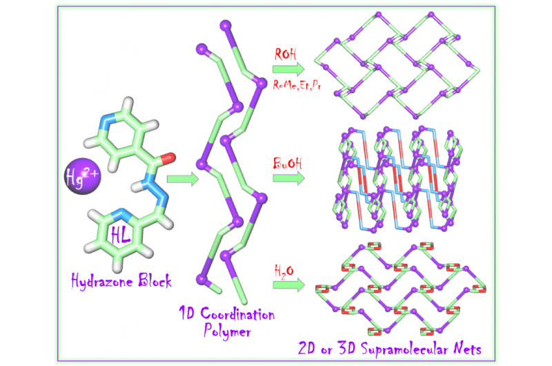 RUDN Chemists Discover Novel Mercuric Complex for Molecular Machine Applications