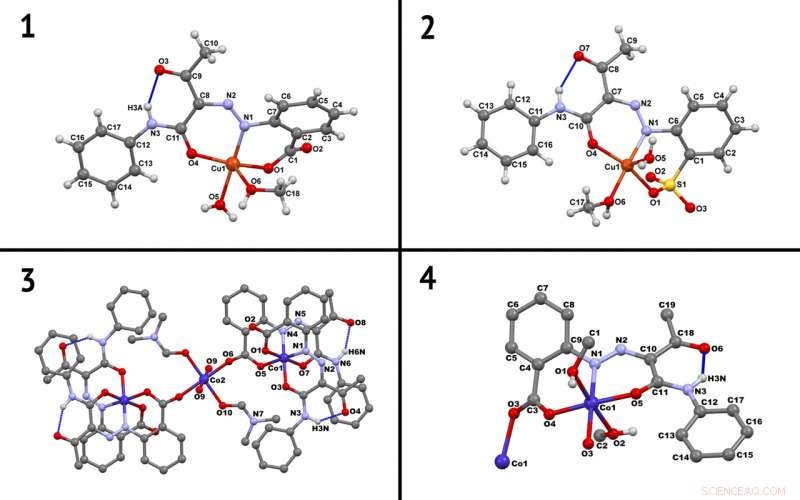 Scientists Unveil Promising Catalyst for Pharmaceutical Precursors