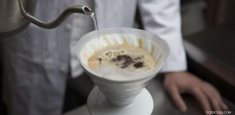 Mastering Coffee: The Chemistry and Physics of a Perfect Brew