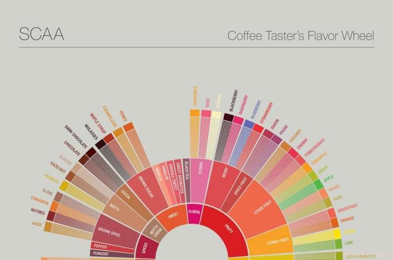 Mastering Coffee: The Chemistry and Physics of a Perfect Brew