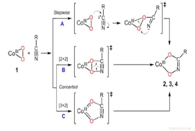 Novel Nitrile-Responsive Complex Promotes Targeted Downregulation of Cancer Enzymes