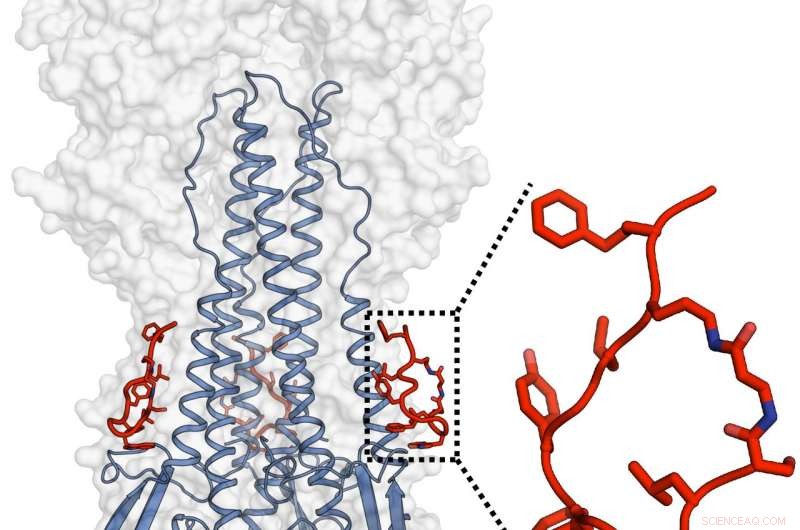 New Broad‑Spectrum Influenza Inhibitors Promise Safer, More Effective Treatment