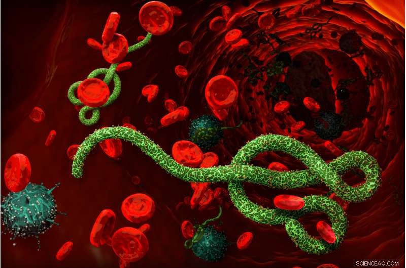 Revolutionary Rapid Mass Screening Method for Ebola Virus Developed