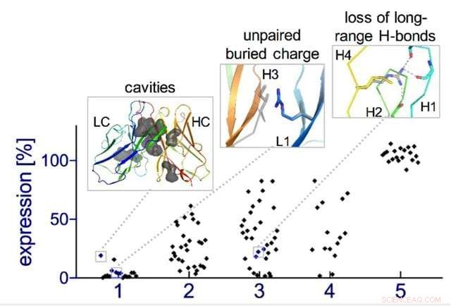 Key Principles Guiding Computational Design of Binding Antibodies