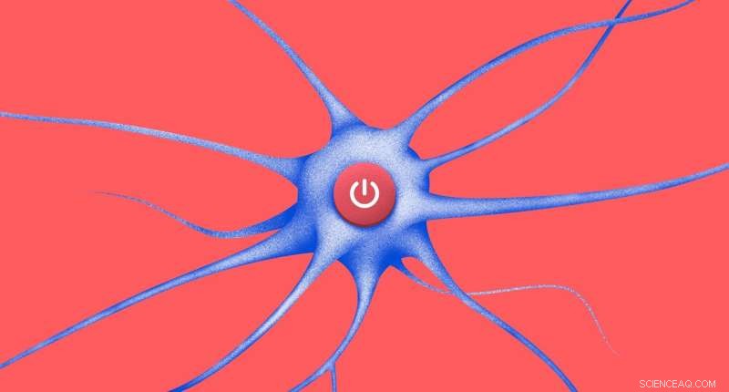 New Light-Activated Proton Pump Opens New Horizons in Optogenetics