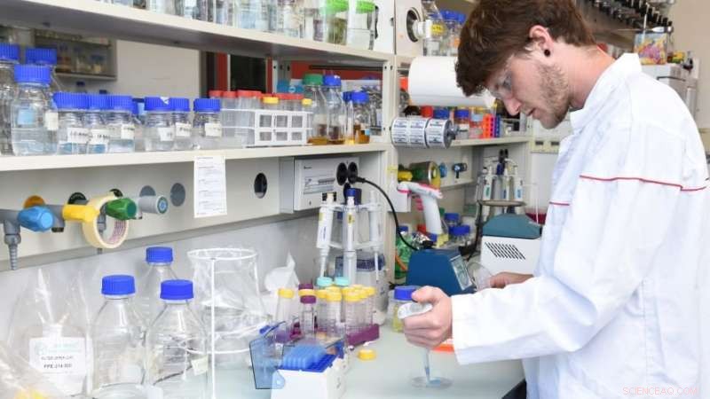 Empa Scientists Introduce Advanced Biosensor for Rapid Copper Detection