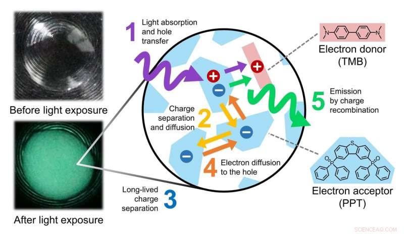 World s First Persistent Luminescence in Organic Materials Unlocks Innovative Applications
