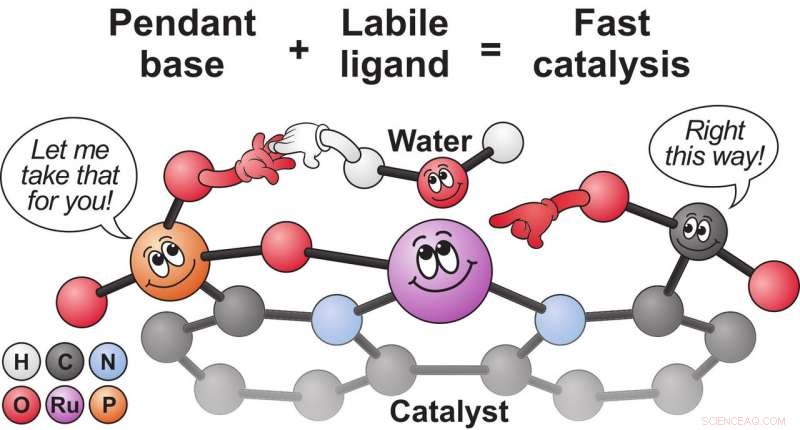 Breakthrough Catalyst Boosts Efficiency in Artificial Photosynthesis