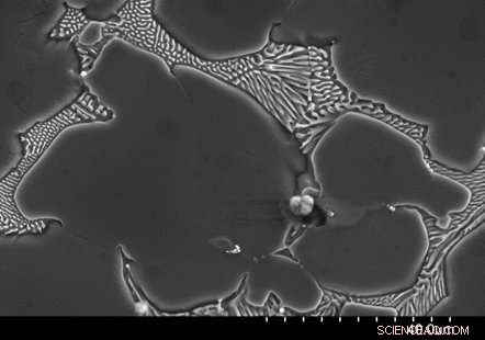 Heat-Tempered Magnesium Alloy: A Reliable Choice for Medical Implants