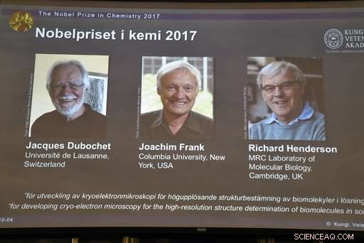 Nobel Chemistry Prize Awarded for Breakthrough Cryo‑Electron Microscopy